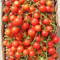 tomatinia-kathisti-poikilia-drops