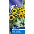 Sunflower Seeds - Waooh!