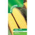 Sweet Corn Seeds - F1 Sundance
