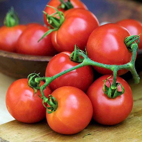 tomata-tsampi-anarrichomeni-poly-proimi-summer-frolic