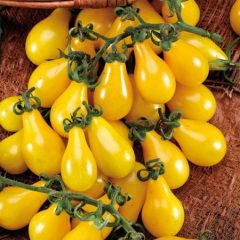 tomata-kitrini-achladi