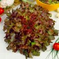 salata-dichromi-red-salad-bowl-biologikos-sporos